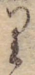 位置 確認된 𛃶