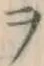 𡨸ヲ