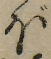 ぼ 위치 확인됨