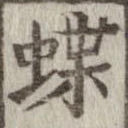 蝶 위치 확인됨