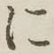 字に