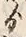 文字ゟ