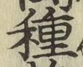 글자 種