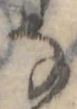 Đã định vị 𛂂