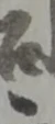 同 위치 확인됨
