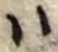 𛂞の位置