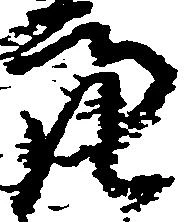 Đã định vị 亮