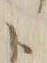 字ト