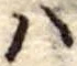 𛂞の位置