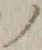 字ノ