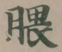 位置定マレル腲