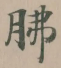 Đã định vị 胇
