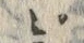 文字ピ
