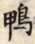鴨 위치 확인됨