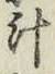 글자 汁