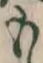 文字 も