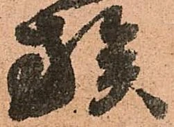 族 위치 확인됨