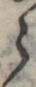 𛃰 위치 확인됨