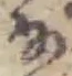 𛂂 위치 확인됨