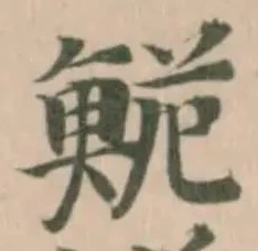 Đã định vị 鮠