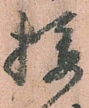 位置 確認된 攝