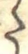 Đã định vị 𛁠