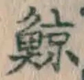 Character 鯨