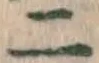 字二