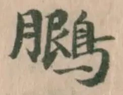 鵩 위치 확인됨