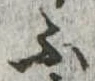ふ 위치 확인됨