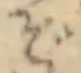 ぞ 위치 확인됨