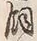 文字飼