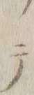 「テ」字