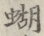 Đã định vị 蝴