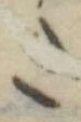 𛁠 위치 확인됨