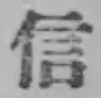 文字信