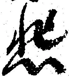 已定位悲