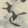 Chữ を
