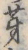 芽 위치 확인됨