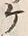 “ケ”字