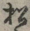 已定位松