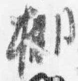 位置定マレル棚