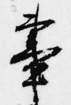 已定位昼