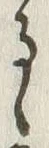 「る」字