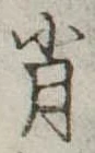 肖 위치 확인됨