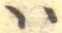 𛂞 위치 확인됨
