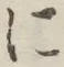 字に