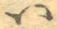 𛂞 위치 확인됨