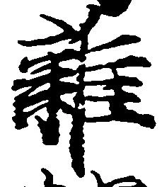 雑の位置
