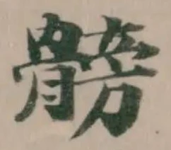 髈 위치 확인됨